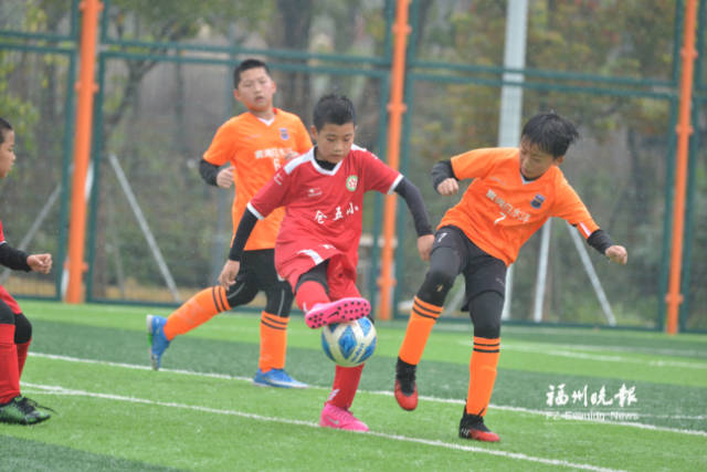 “菁英杯”青少年足球聯賽落幕 “菁英杯”青少年足球聯賽落幕