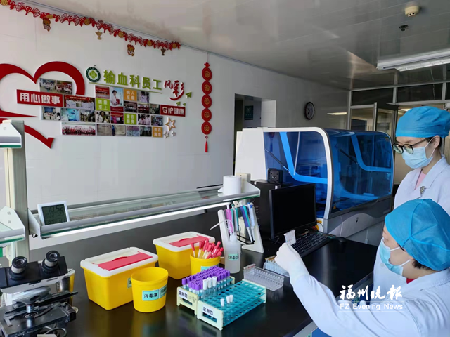 比“熊貓血”還稀有！福州依伯竟是“恐龍血”