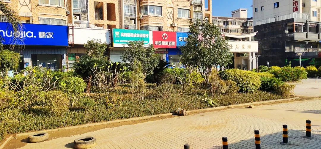 補坑還綠，福州高新區“顏值”提升在行動！