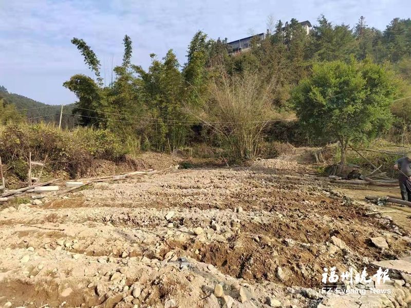 閩清白樟鎮拆除違建養牛場