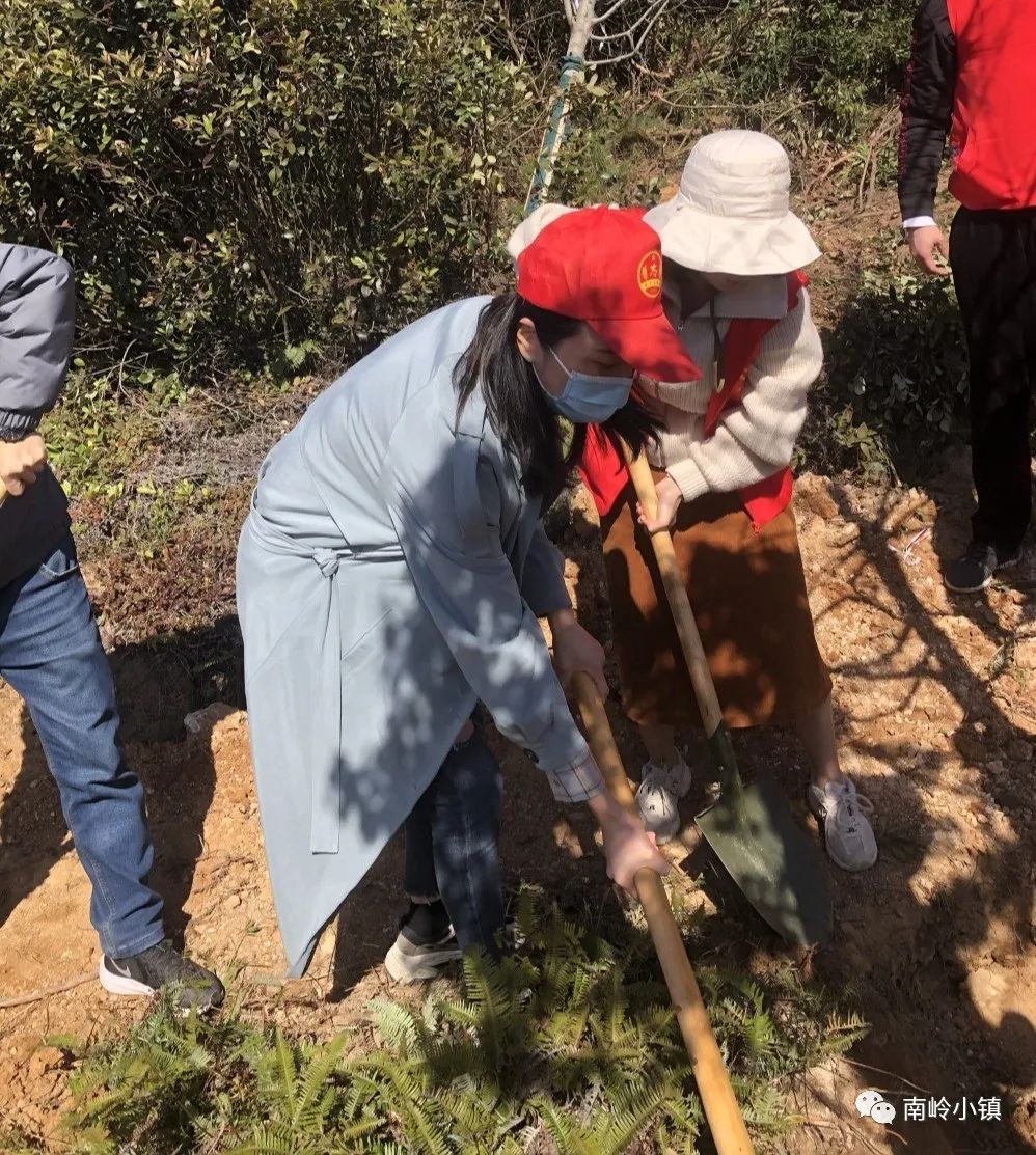 栽下一片綠，收獲滿眼春！為福清這群人點贊！