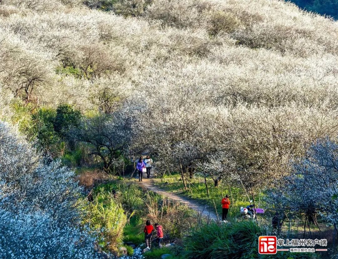 感恩奮進(jìn)這一年：奮楫爭(zhēng)先的福州