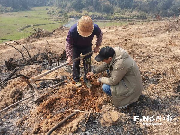 福州435多名林業干部赴一線植樹造林
