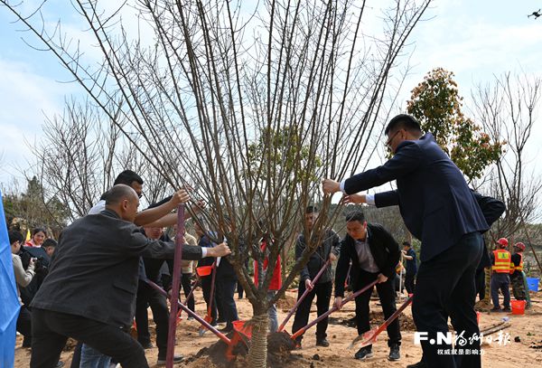 城投園林公司羅源綠化苗木基地開業(yè)