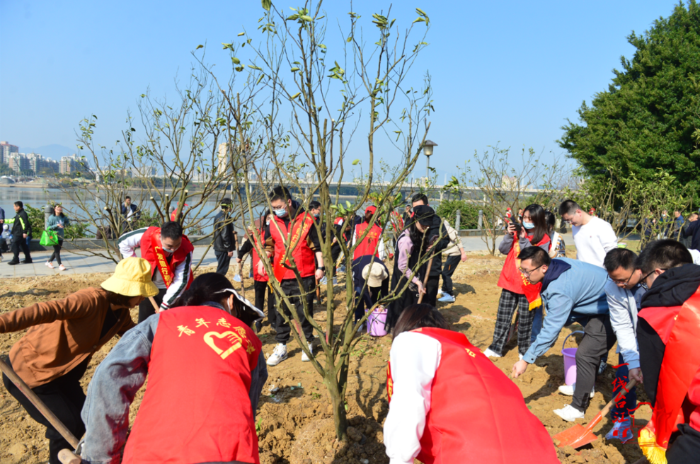 臺江：植綠正當時 共建生態區