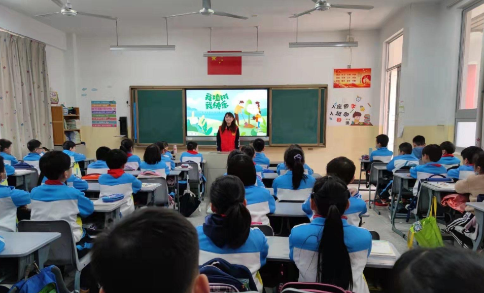 臺江：植綠正當時 共建生態區