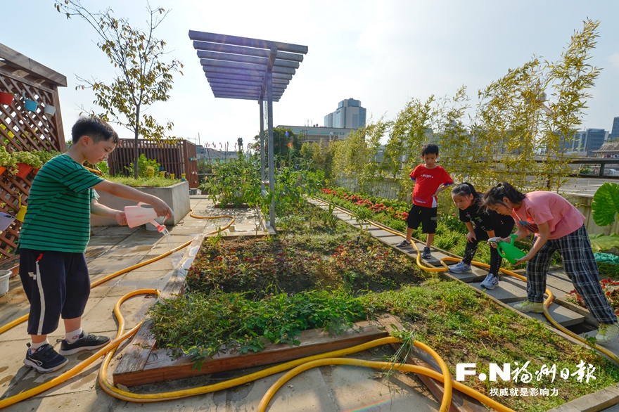 感恩奮進這一年丨福州聚力創造高品質生活