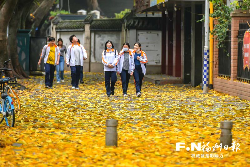 “碧云天黃葉地”為何春日出現(xiàn)？業(yè)內(nèi)人士：南方常綠樹恰好此時換葉