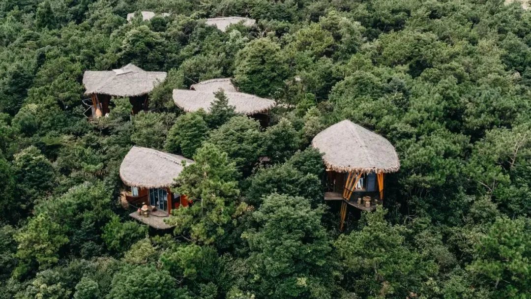 新晉網(wǎng)紅打卡地！福州鼓嶺柱里露營地“火”上央視