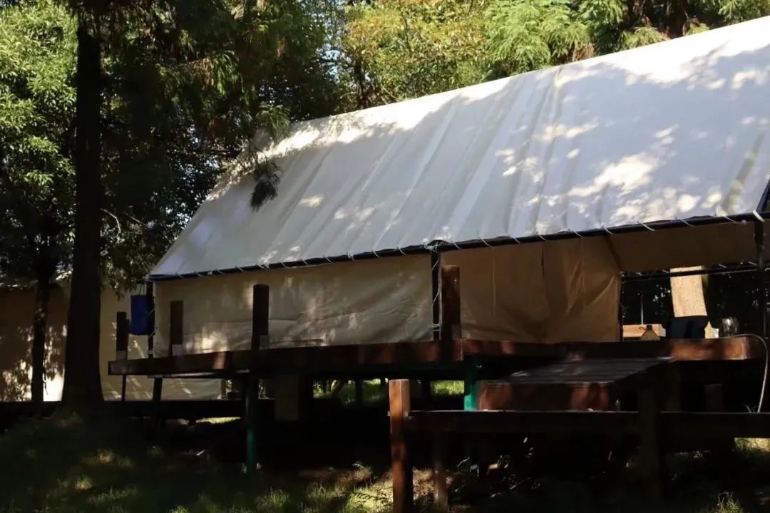 新晉網(wǎng)紅打卡地！福州鼓嶺柱里露營地“火”上央視