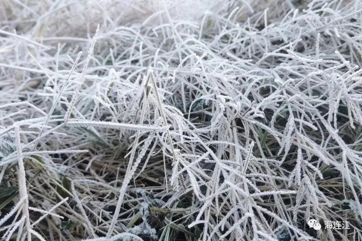 冷！連江霜凍景觀來襲！