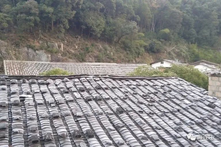 冷！連江霜凍景觀來襲！