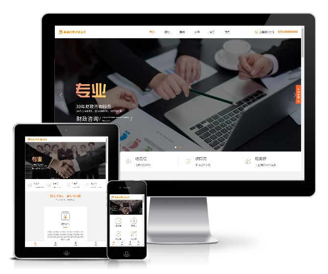 代理記賬財政咨詢服務類網站模板(響應式)